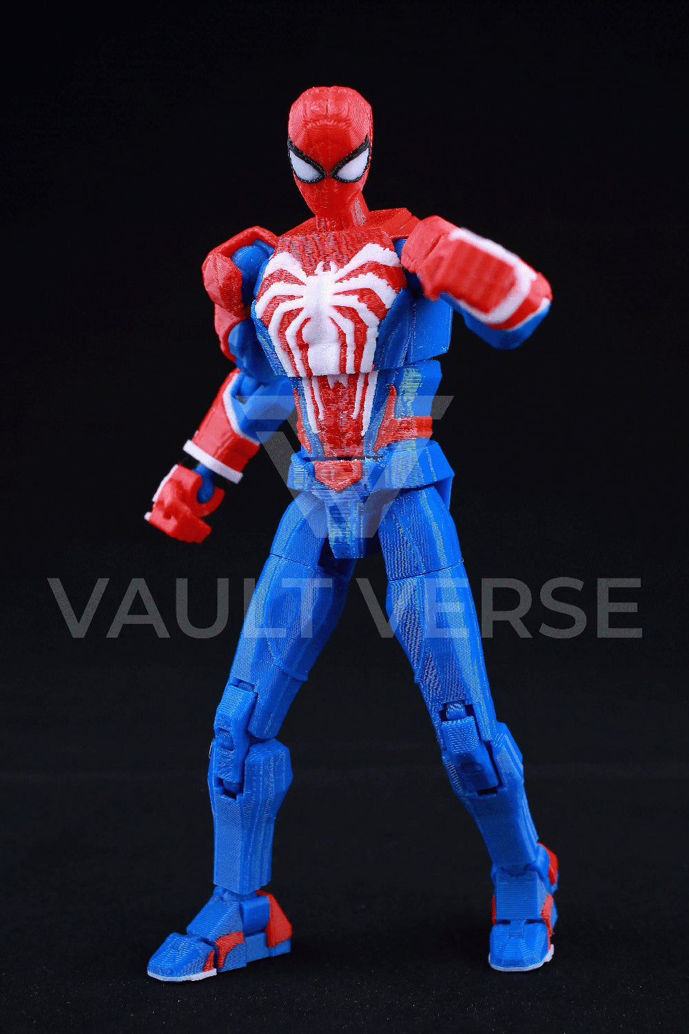 Arachnid Dummy
